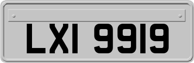 LXI9919