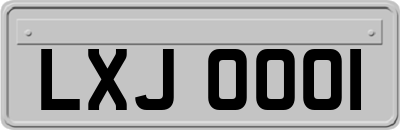 LXJ0001