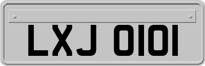 LXJ0101