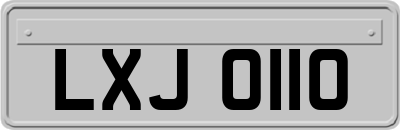 LXJ0110