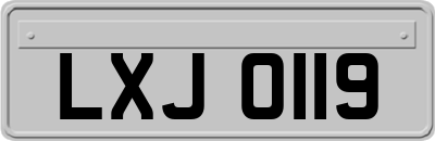 LXJ0119