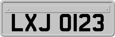 LXJ0123