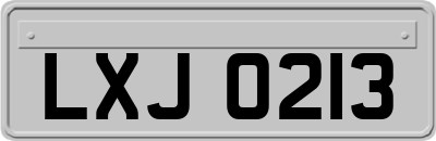 LXJ0213