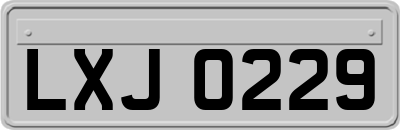 LXJ0229