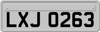 LXJ0263