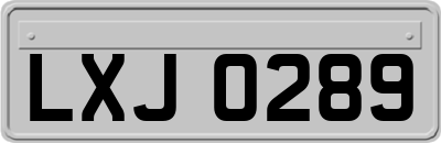 LXJ0289