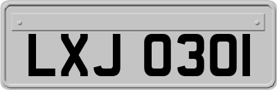 LXJ0301