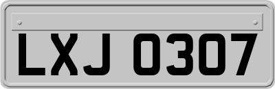 LXJ0307