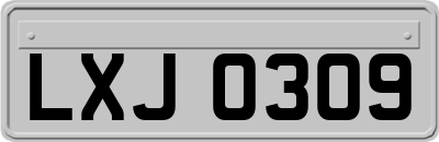 LXJ0309