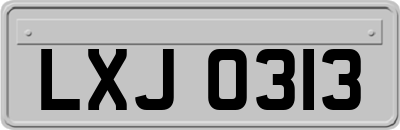 LXJ0313