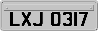 LXJ0317