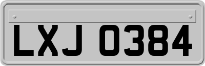 LXJ0384