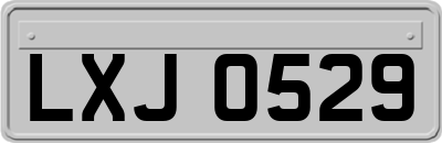 LXJ0529