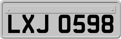 LXJ0598