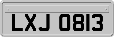 LXJ0813