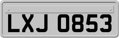 LXJ0853