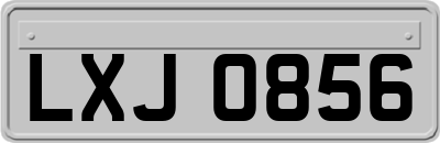 LXJ0856