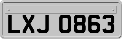 LXJ0863