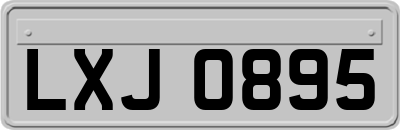 LXJ0895