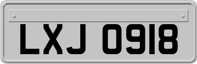 LXJ0918
