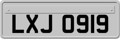 LXJ0919