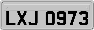 LXJ0973