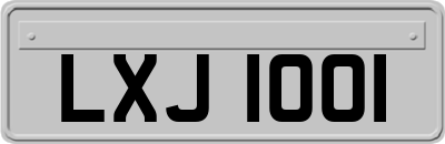 LXJ1001
