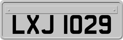LXJ1029