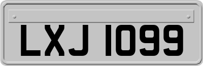 LXJ1099