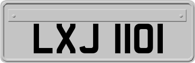 LXJ1101