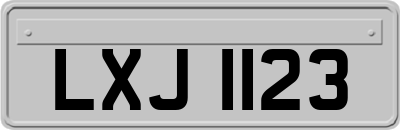 LXJ1123
