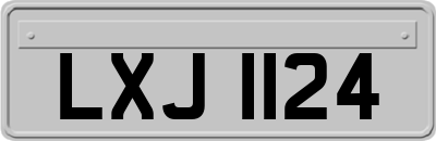 LXJ1124