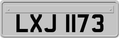 LXJ1173