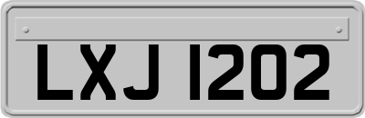 LXJ1202