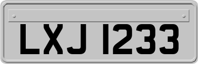 LXJ1233