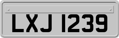 LXJ1239