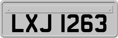 LXJ1263