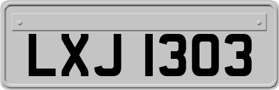 LXJ1303