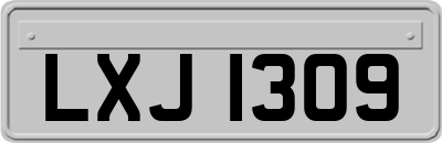 LXJ1309