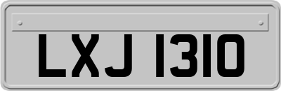 LXJ1310