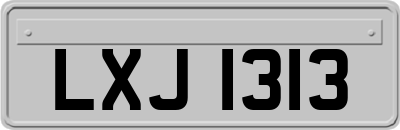 LXJ1313