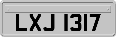 LXJ1317