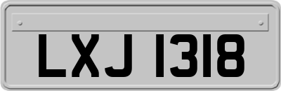LXJ1318