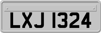 LXJ1324