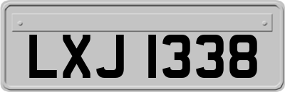 LXJ1338