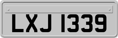 LXJ1339