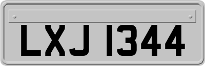 LXJ1344