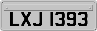 LXJ1393