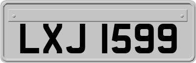 LXJ1599