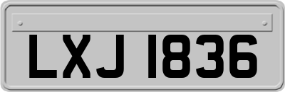 LXJ1836